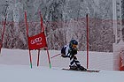 Bilder Anzeigen